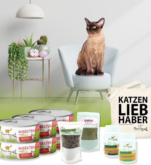 Sparset für Burma-Katze