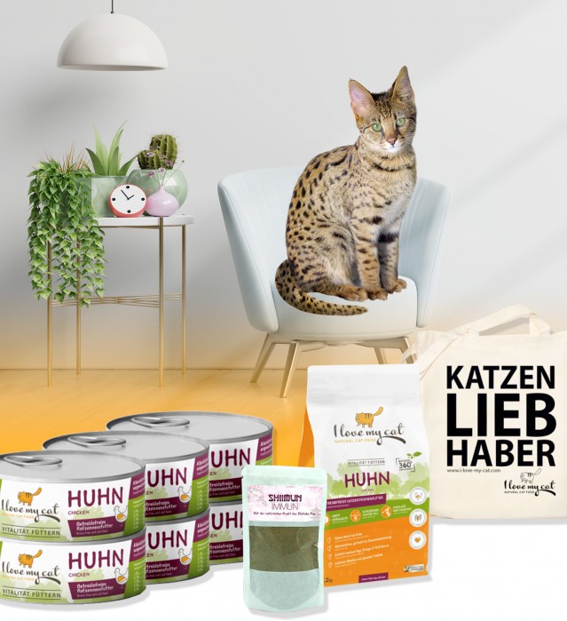 Sparset für Savannah Katze